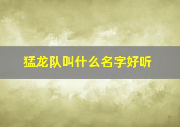 猛龙队叫什么名字好听