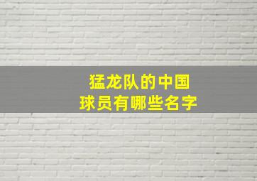 猛龙队的中国球员有哪些名字