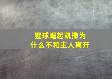 猩球崛起凯撒为什么不和主人离开