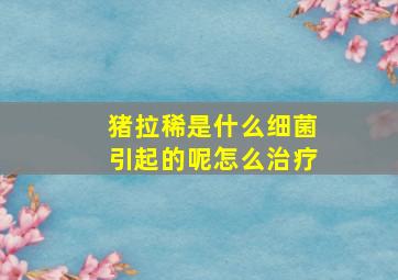 猪拉稀是什么细菌引起的呢怎么治疗