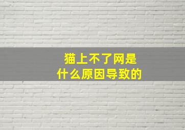 猫上不了网是什么原因导致的