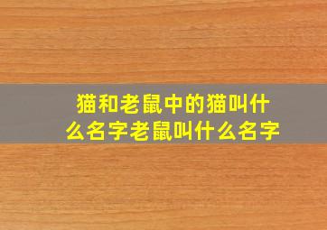 猫和老鼠中的猫叫什么名字老鼠叫什么名字