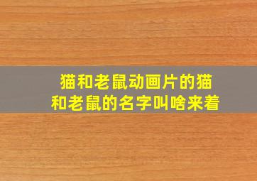 猫和老鼠动画片的猫和老鼠的名字叫啥来着