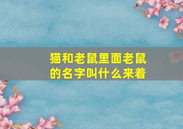 猫和老鼠里面老鼠的名字叫什么来着