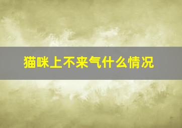 猫咪上不来气什么情况