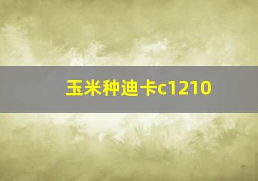 玉米种迪卡c1210