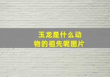 玉龙是什么动物的祖先呢图片