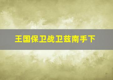 王国保卫战卫兹南手下