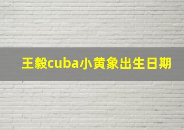 王毅cuba小黄象出生日期