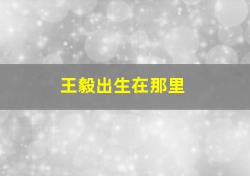 王毅出生在那里