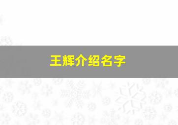 王辉介绍名字