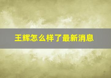 王辉怎么样了最新消息