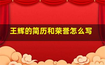 王辉的简历和荣誉怎么写