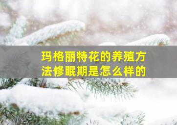 玛格丽特花的养殖方法修眠期是怎么样的