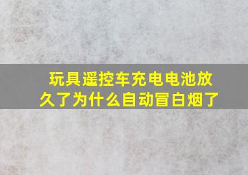 玩具遥控车充电电池放久了为什么自动冒白烟了