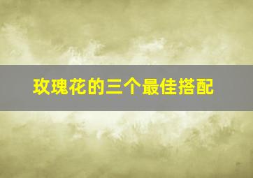 玫瑰花的三个最佳搭配