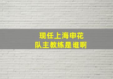 现任上海申花队主教练是谁啊