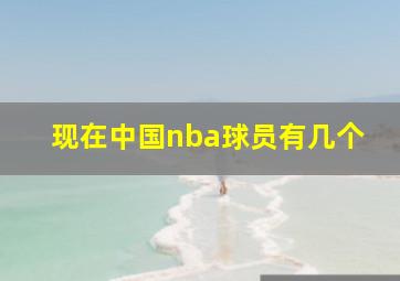 现在中国nba球员有几个