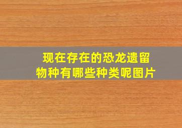 现在存在的恐龙遗留物种有哪些种类呢图片