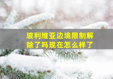 玻利维亚边境限制解除了吗现在怎么样了