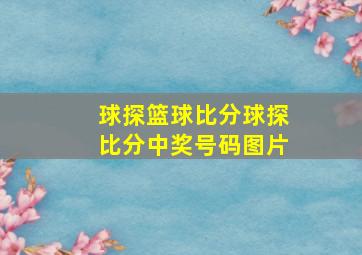 球探篮球比分球探比分中奖号码图片