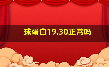 球蛋白19.30正常吗