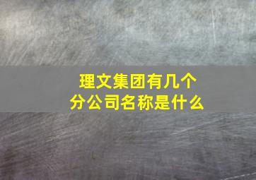 理文集团有几个分公司名称是什么