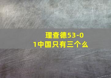 理查德53-01中国只有三个么