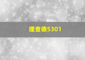 理查德5301