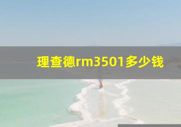 理查德rm3501多少钱