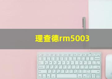 理查德rm5003