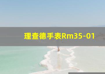 理查德手表Rm35-01