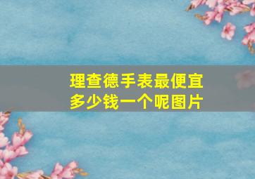 理查德手表最便宜多少钱一个呢图片