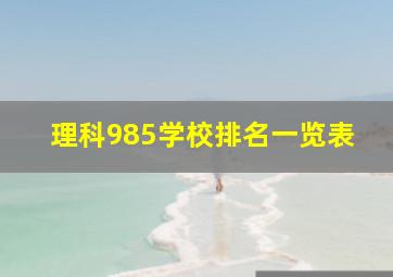 理科985学校排名一览表