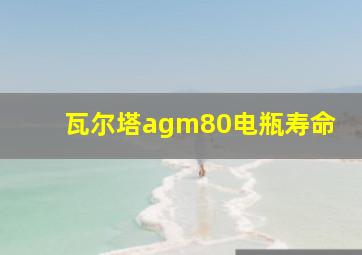 瓦尔塔agm80电瓶寿命