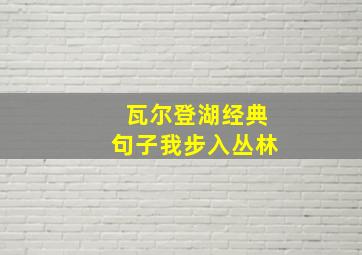 瓦尔登湖经典句子我步入丛林