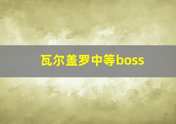 瓦尔盖罗中等boss