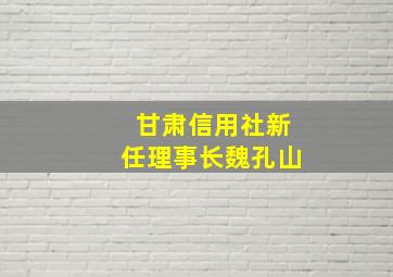 甘肃信用社新任理事长魏孔山