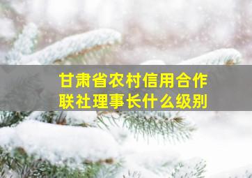 甘肃省农村信用合作联社理事长什么级别