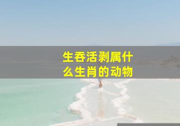 生吞活剥属什么生肖的动物