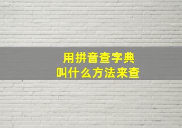 用拼音查字典叫什么方法来查