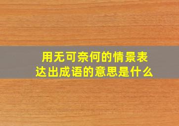 用无可奈何的情景表达出成语的意思是什么