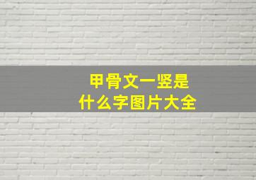 甲骨文一竖是什么字图片大全