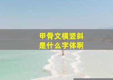 甲骨文横竖斜是什么字体啊