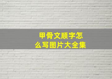 甲骨文顺字怎么写图片大全集