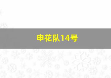 申花队14号