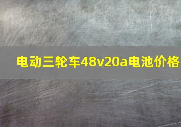 电动三轮车48v20a电池价格