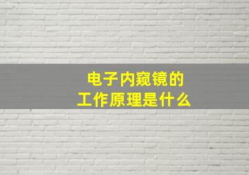 电子内窥镜的工作原理是什么