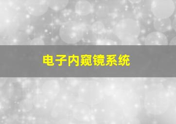 电子内窥镜系统