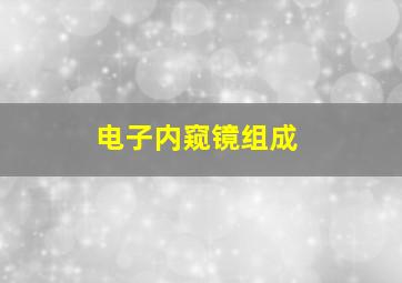 电子内窥镜组成